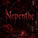 Nepentheo